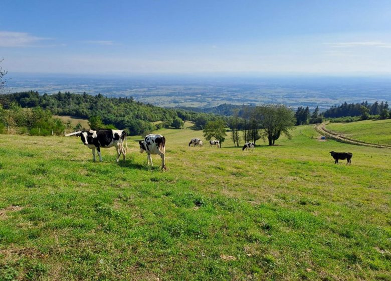 Itinérance au cœur des Monts de la Madeleine