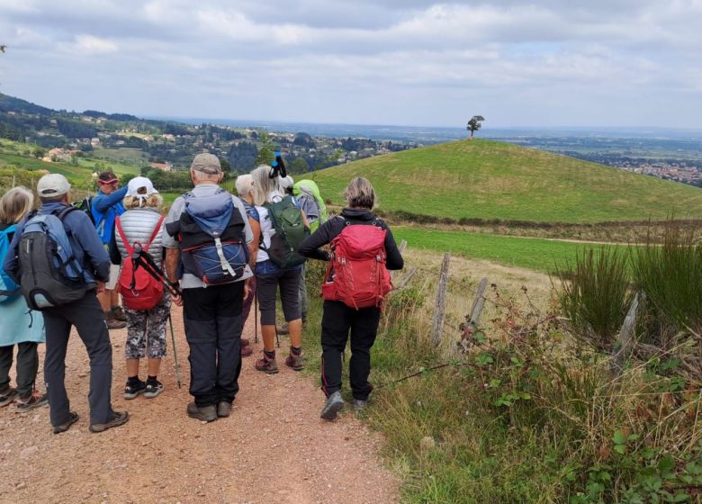 Itinérance au cœur des Monts de la Madeleine