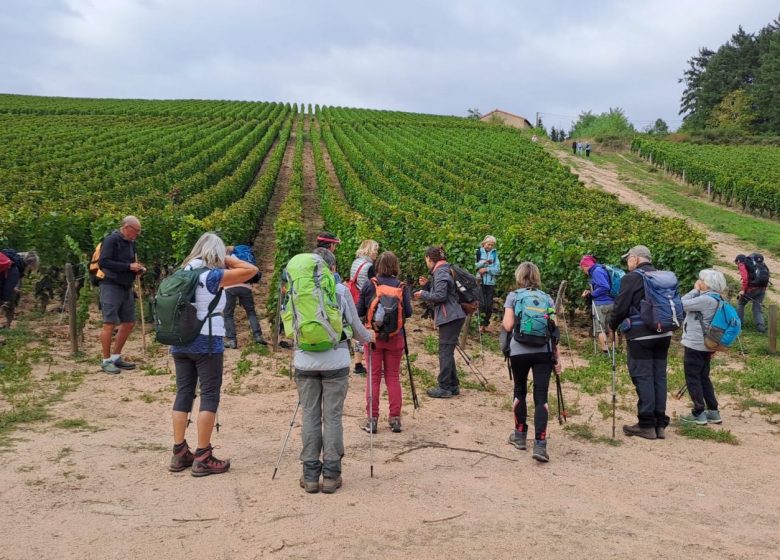 Itinérance au cœur des Monts de la Madeleine