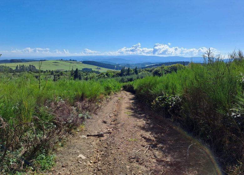 Itinérance au cœur des Monts de la Madeleine